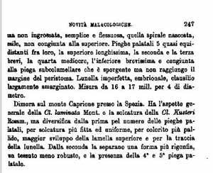 A proposito di Clausilia ligurica Pini, 1884